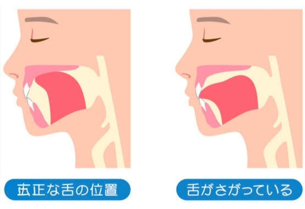 あなたの舌はどこにありますか？の掲載画像